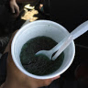 Meet your Posher, Dylan